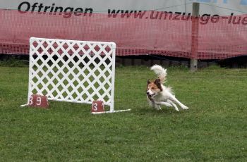 IMG_9408